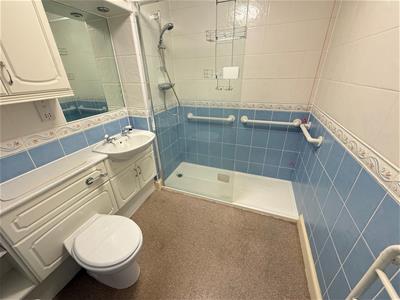 Picture 8
